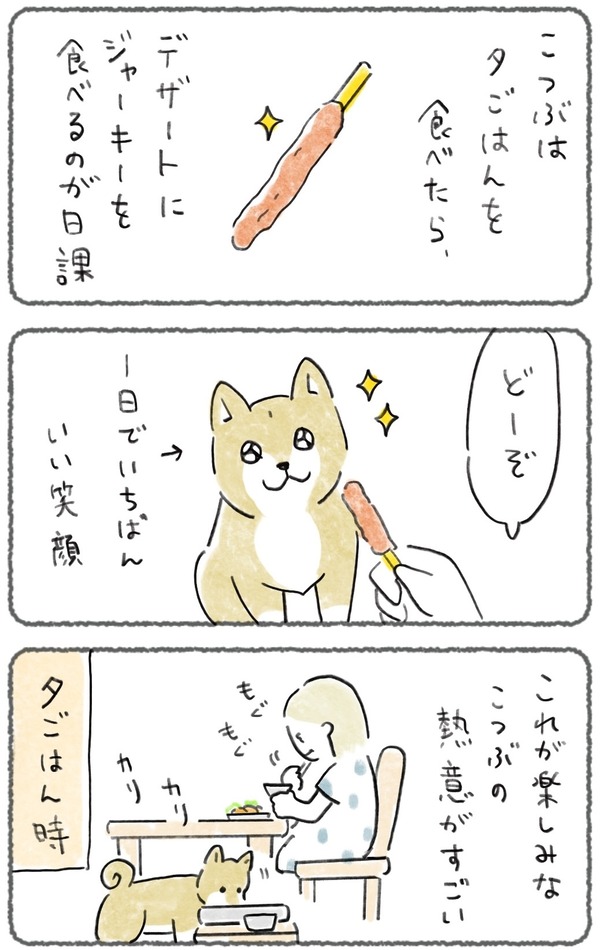 kiriillust's tweet photo. デザートのジャーキー🐕✨　↓ https://t.co/vRYrA9WksD