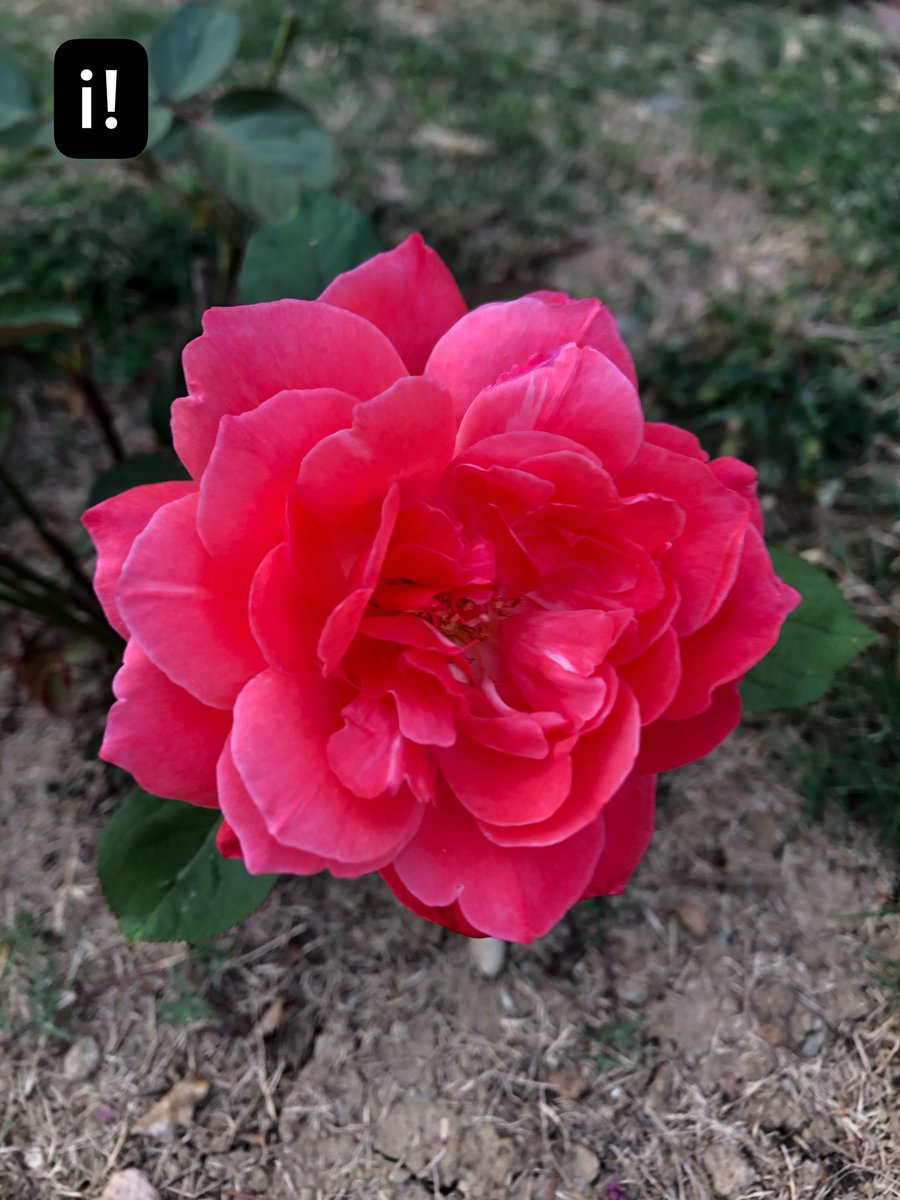 indieindic's tweet photo. Time is fleeting, but it’s the beauty. https://t.co/g7IATs466A