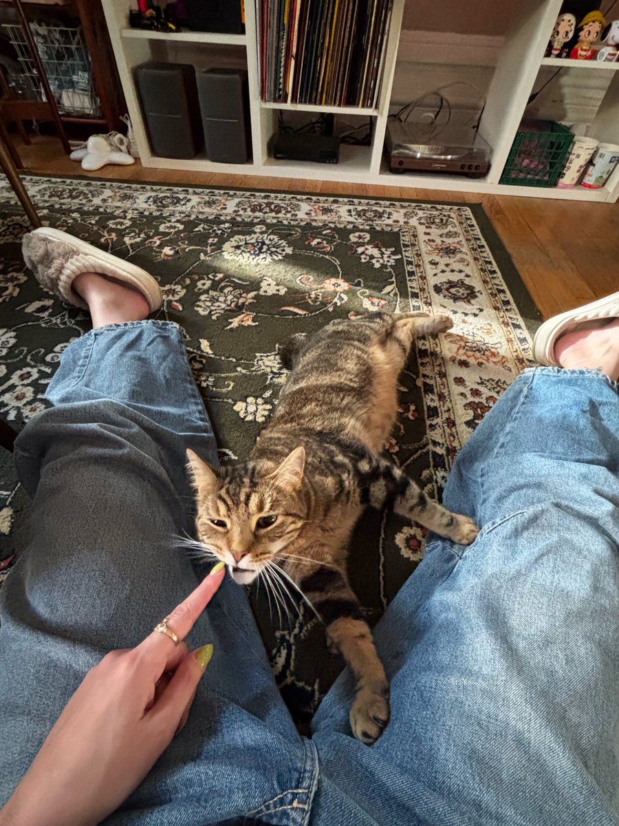 kold_pizza's tweet photo. Incredible summer of lovin’ on other people’s pets <3 https://t.co/BDsSdH4Cra