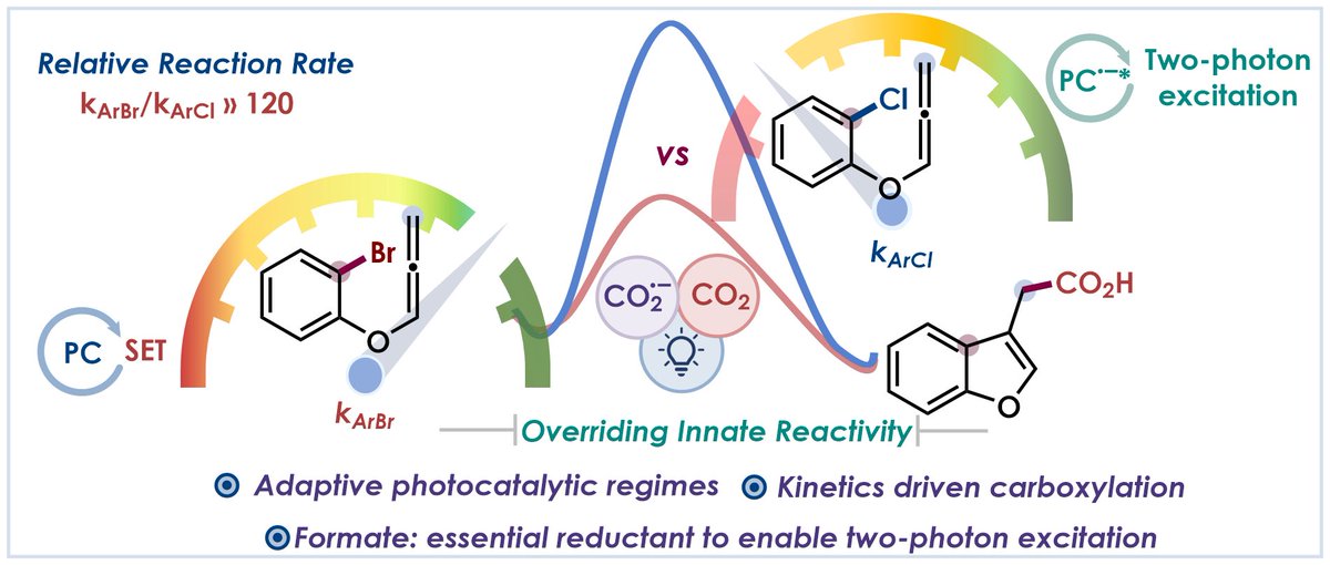 SMChem_'s tweet photo. 🚀Unlocking CO₂ ·– for two distinct photocatalytic regimes for selective activation of Ar-X(Br/Cl) for Cyclization-Carboxylation. Just now out in @ACSCatalysis 🔓
Once again it’s pleasure working with @Shantanu_JUchem 🍻
⛓️‍💥Read the full article here:
https://t.co/SzPJbVBQiv https://t.co/yGxeXPdH6a