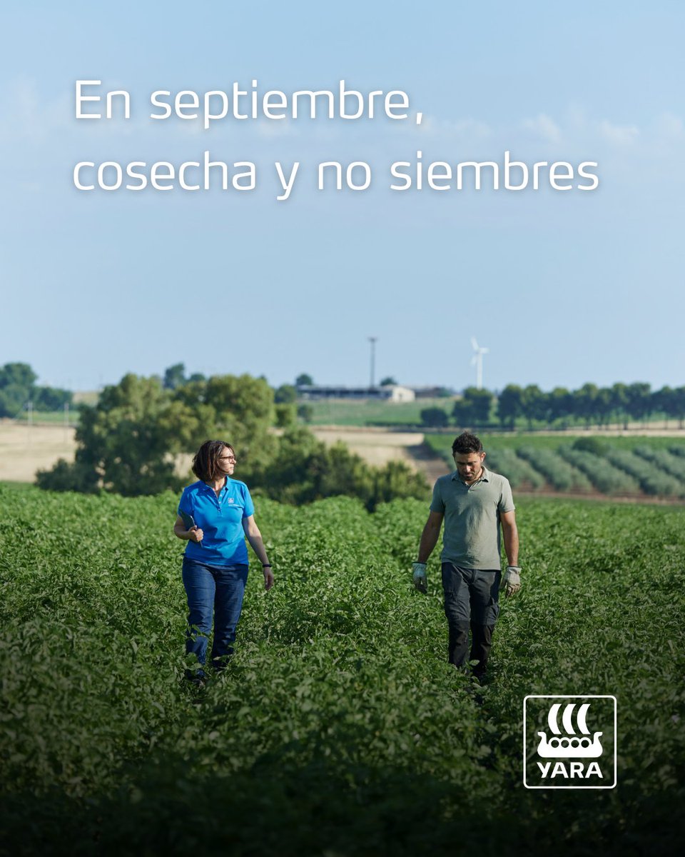 YaraIberian's tweet photo. 🚜 Septiembre es, tradicionalmente, un mes clave para nuestros agricultores: llega el momento de recoger el fruto de meses de esfuerzo, dedicación y trabajo incansable.

💙 Hoy queremos enviarles toda nuestra fuerza y nuestro reconocimiento, especialmente en un año marcado por el calor y la sequía. Ojalá sus efectos sean los menores posibles y la cosecha sea la mejor recompensa a tanto esfuerzo.

🫶🏽 Mucho ánimo y mucha fuerza a todos los agricultores. ¡Gracias por cuidar y hacer crecer nuestra tierra!

@yara @YaraEurope