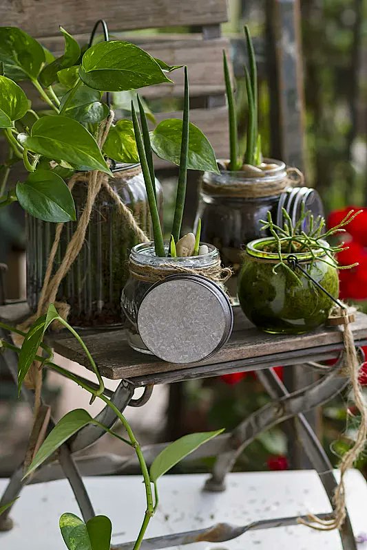 MarvelHunsucker's tweet photo. Turn an old mason jar into a cute hanging planter with just some twine and paint! Perfect small decor for windowsills. https://t.co/dBKHtgcaZG