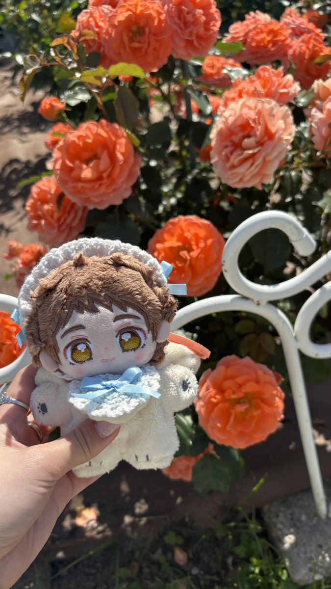 suncandy_712's tweet photo. よくかんがえたらうちのいつぬちゃん、もえもえメイドちゃんでは⁉️😻 https://t.co/BMNtnMmb4a