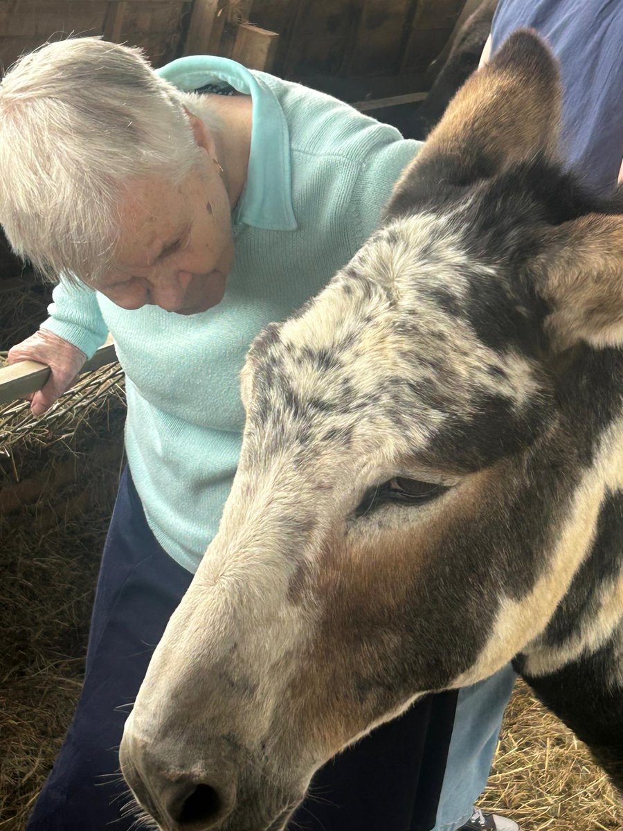 CHNursinghome's tweet photo. We recently spent an afternoon at Kelly's Donkeys in Beckington, sitting inside the pen with coffee and cake while the donkeys wandered over to say hello.
#Frome #Somerset #CareHome #Caring #Responsive #continuationoflife https://t.co/vCIvzeIBOL