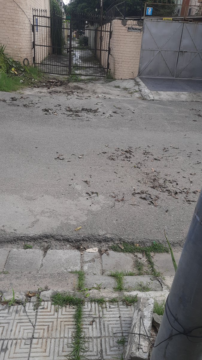 vikas20152016's tweet photo. @MCChandigarh it is Horrible Place after lifting the leaves by MC Horticulture Tractor PB65 BL 6409in sector15A.Six people were sitting to pickup the waste but no  body care to pick u it properly and even scattered on  road while collecting. Why they come after road cleaning 2pm. https://t.co/TO7oUtdBk6