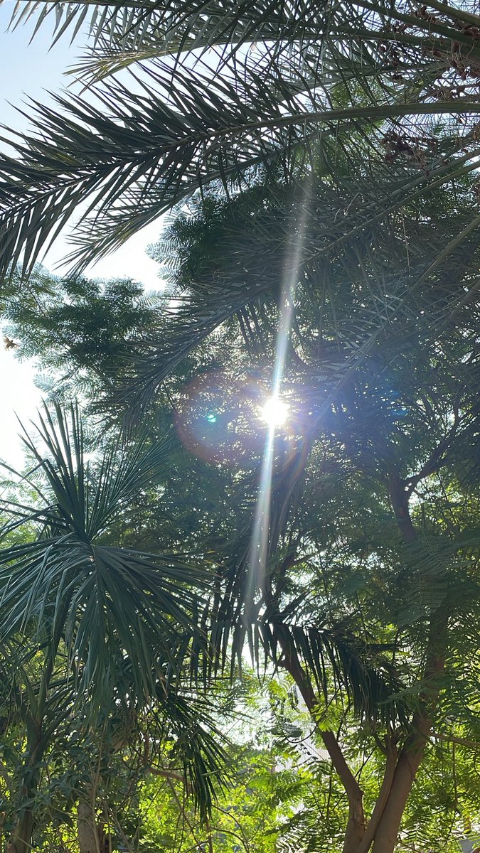 Lam98v's tweet photo. Random 🧘🏻‍♀️ https://t.co/TOt5pFJiXj
