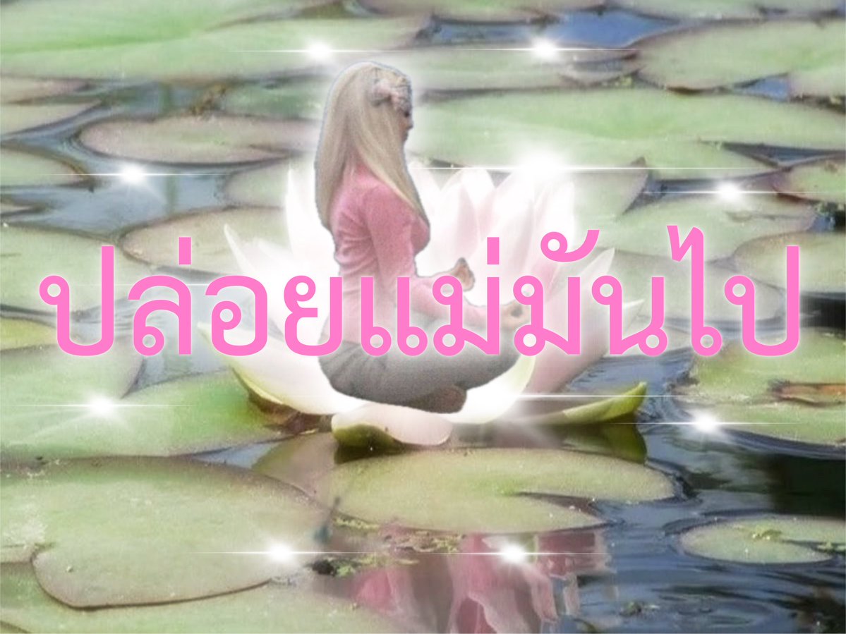 acho0mi's tweet photo. ช่างแม่มัน🧘🏻🪷 https://t.co/jQWc7lCApu