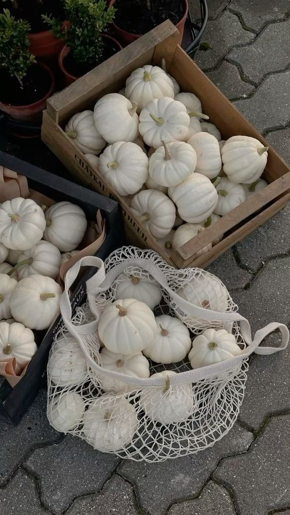 JamesLeeeph's tweet photo. Sampe sekarang gw blm bisa nyetir (iyaa malu2in emang 🥲) ini lg mau ke dokter gigi dianterin sama mama mertua… Les nyetir? Jgn ditanya…dr yg les profesional sampe sama suami sendiri juga uda perna…tp nyalinya itu loh yg ga ada ada…gimana ya 🥹🥹🥹 https://t.co/Z18wgiRdqR