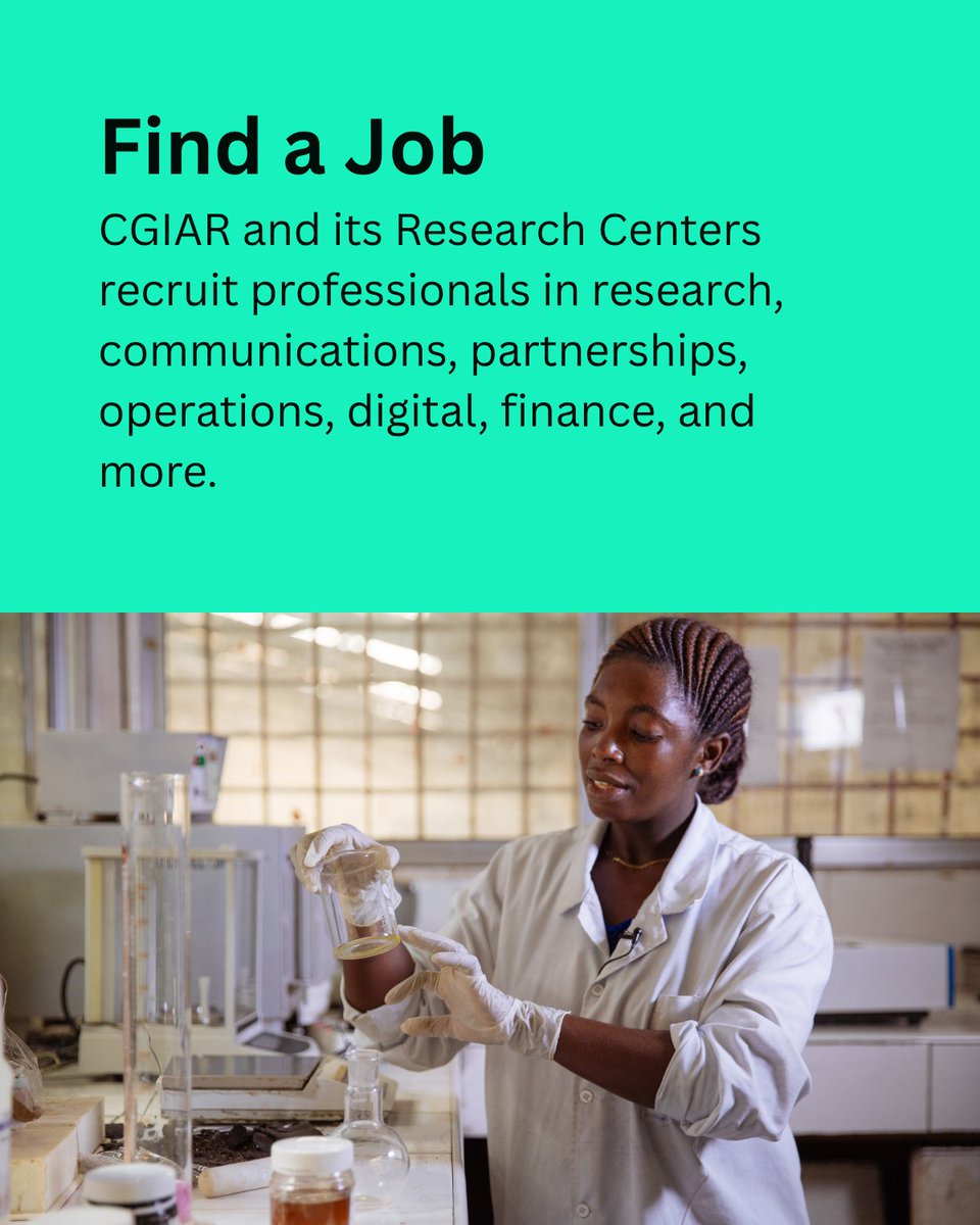 CGIAR's tweet photo. 🔍 Looking for a job, consultancy, internship, traineeship, or fellowship? Here's how to find opportunities across CGIAR. 

🔗 https://t.co/QcHrJWkM3S 

#CareersAtCGIAR #Jobs #Internships #Traineeships #Consultancies #ResearchCareers #FAQFriday https://t.co/2dmcQOZBY0