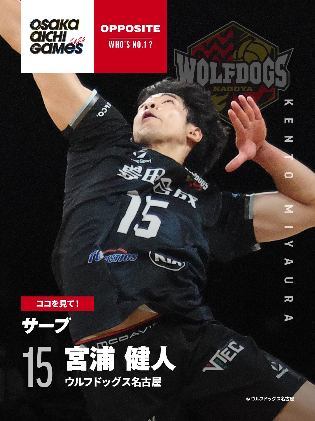 Reposts by ウルフドッグス名古屋 (@Wolfdogs_NAGOYA) / X