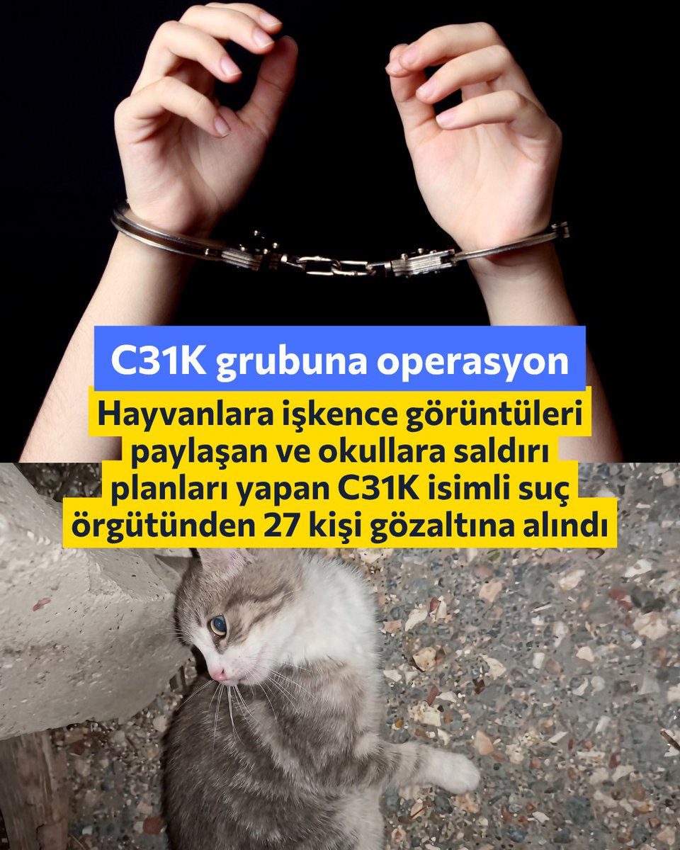 ChangeTR's tweet photo. Ankara Cumhuriyet Başsavcılığı tarafından yürütülen soruşturma kapsamında, üç farklı ildeki üç okula yönelik silahlı saldırı hazırlığında olduklarına ilişkin paylaşımlar yaptıkları değerlendirilen C31K isimli suç örgütü içerisinde faaliyet gösterdiği belirlenen 27 şüpheli yakalandı; 5 kişi ise aranıyor. 

Telegram, Discord, X ve YouTube başta olmak üzere platformlarda bebek ve çocuklara ait müstehcen görüntülerin paylaşılması ve yayılması, milli ve manevi değerlere yönelik hakaret içerikli paylaşımlarda bulunulması, Türk bayrağının yakılması ile hayvanlara eziyet edilmesi ve hayvanların öldürülmesine ilişkin görüntülerin paylaşılması gibi eylemlerde bulunan şüpheliler tespit edildi. Tespit edilen 32 kişiden 19'u, 18 yaşın altında.

Yavru bir kediyi işkenceyle öldürenlerin de bu gruba ait oldukları sosyal medyada iddia edilmişti. Söz konusu kişilerin bu grubun üyesi olup olmadığı, yakalananlar arasında yer alıp almadığına ilişkin henüz resmi bir açıklama yapılmadı. 

"Yavru kediyi katleden caniler bulunsun!" diyen Barış Tolga Güden'in başlattığı kampanya sürüyor: https://t.co/0aTCwLRkhm

ㅤ
