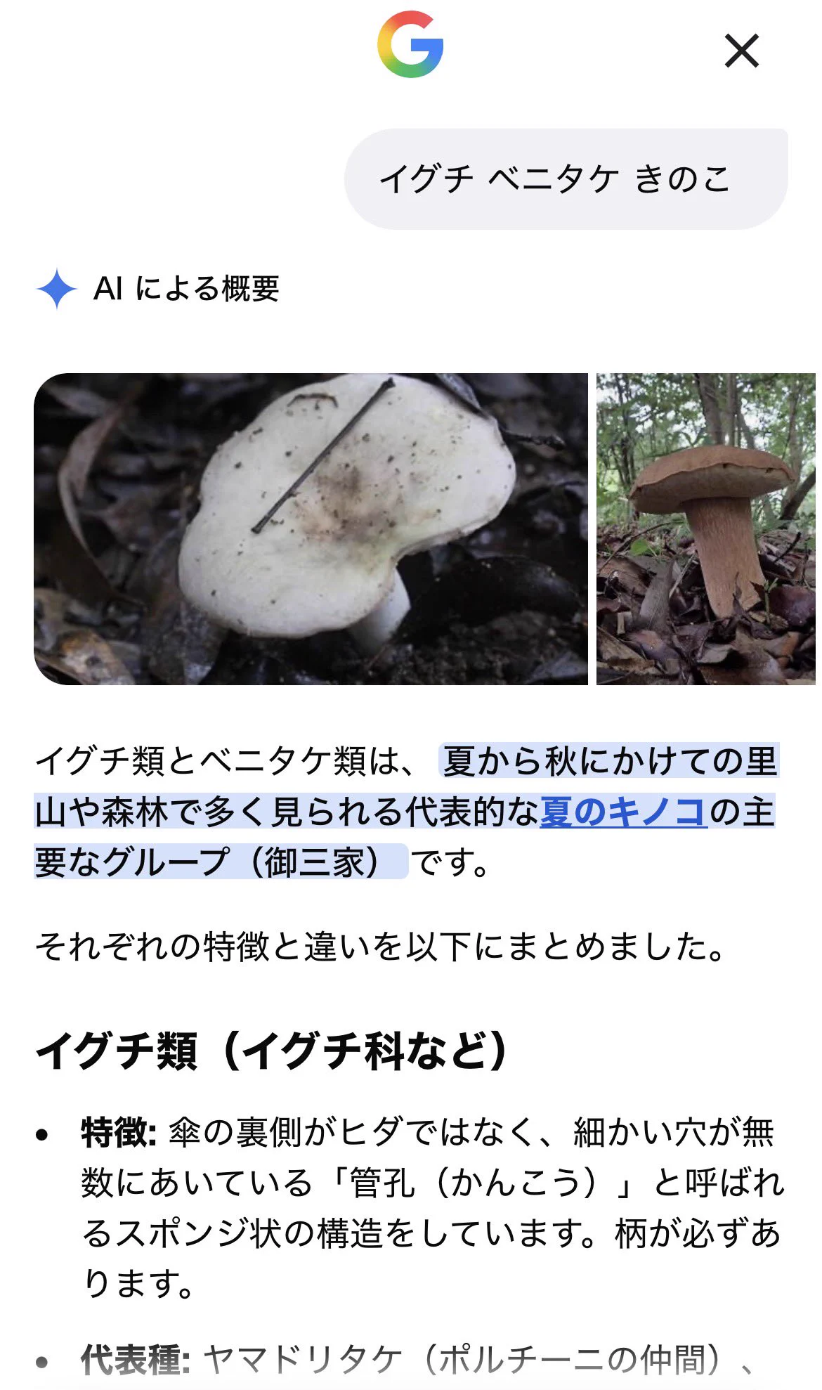 かるがも on X: 
