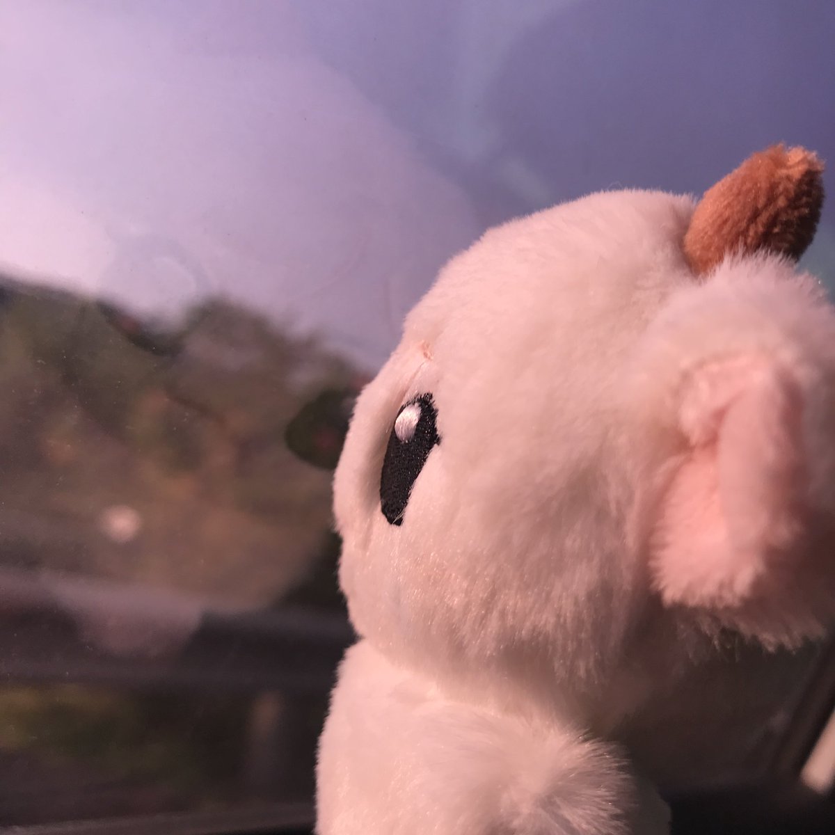 waybbbbbbb25375's tweet photo. 😔 https://t.co/CPu1ZzTguO