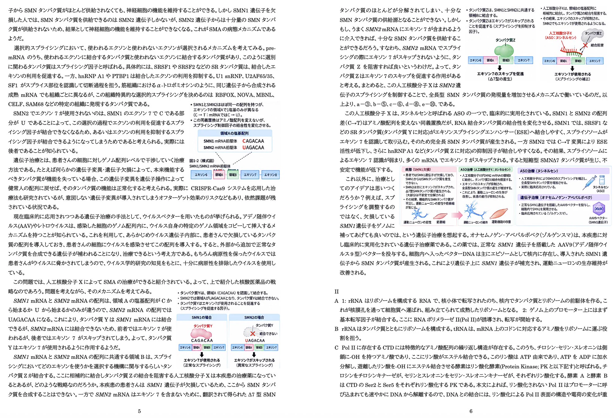 中山佳尚 (@ynakayama_chem) / X