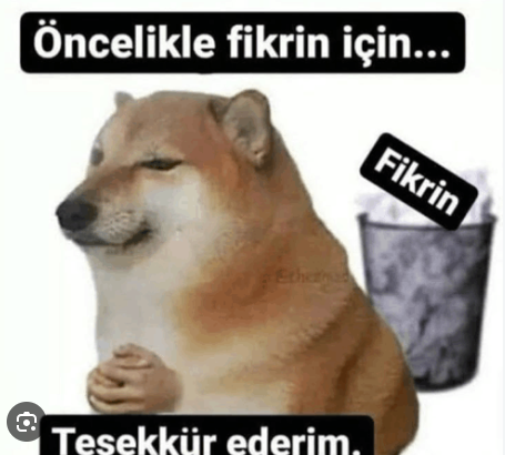 ASimsek_01's tweet photo. @bpthaber https://t.co/v8WgY1g7dX