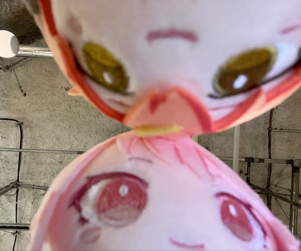 xrncwvm's tweet photo. マイセカイぬいキー達かわいすぎる（ i ω i ）♥ https://t.co/1YgOrjcqtd