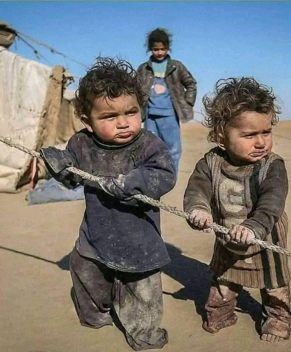 FatmaEr73719733's tweet photo. Alımlı dünyanın, yaşarmış gibi görünen çocukları. https://t.co/7E3Ji7Kn70