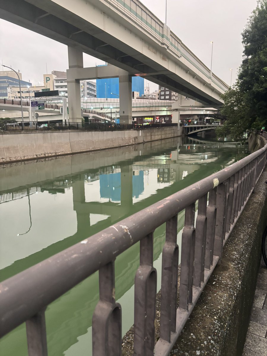 imoimomushi's tweet photo. ほーじつ https://t.co/zXOb0uZ32v
