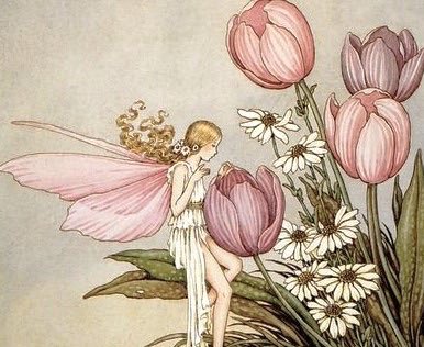 dreamyyarchive's tweet photo. The litte girl in me is still wishing to be a fairy 🧚 https://t.co/wHb6Chkmpv