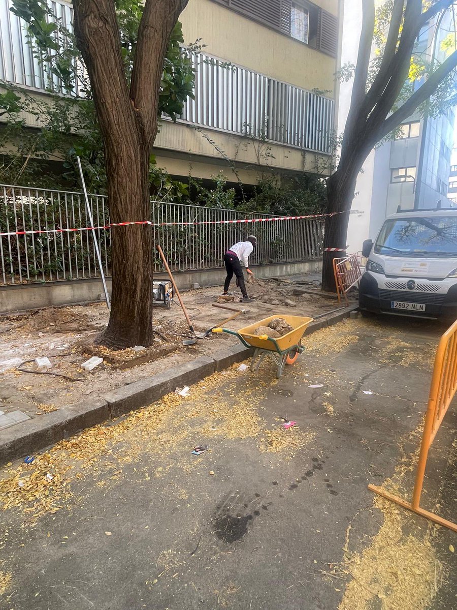 Dto_Sur's tweet photo. 🚧 Estamos reparando el acerado de la calle Antonio Maura Montaner.
👣 Actuamos sobre las zonas deterioradas para facilitar el paso de los vecinos y mejorar la seguridad y comodidad de los peatones.
#DistritoSur https://t.co/pjeuaBrua2