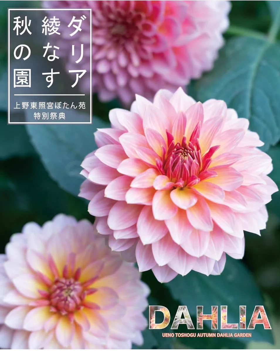 上野東照宮【公式】 on X: 
