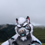 Photo by 冽刃 / Reijin / レイジン🔜🇹🇼 Infurnity 2026 (@Reijinwolf)