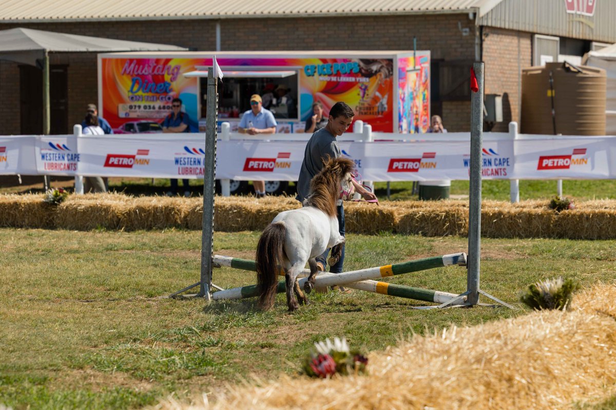 GrainSA's tweet photo. Gister was Dag 2 by NAMPO Kaap!
Van bekende gesigte en lekker geselsies tot nuwe mense en ongelooflike uitstallers — daar is hope om te sien en te doen!
Nog nie by ons uitgekom nie? Kom kuier vandag of môre voor 12:00! 👋🌱
#GraanSA #Landbou #NAMPOKaap https://t.co/iAexpTiqJr