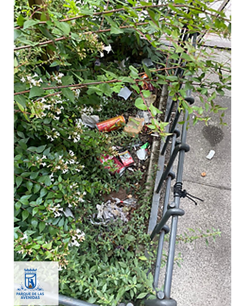 CSIAvenidas's tweet photo. 💡Hola, @MADRID. Hemos descubierto un nuevo sistema de reciclaje en #ParqueDeLasAvenidas: 

👉Esconder los envases entre los arbustos y esperar a que la naturaleza haga el resto.🤮

Parece que el experimento no está funcionando del todo. ¿Alguna idea?

#MadridLimpio #Basuraleza https://t.co/unQRILPAyf