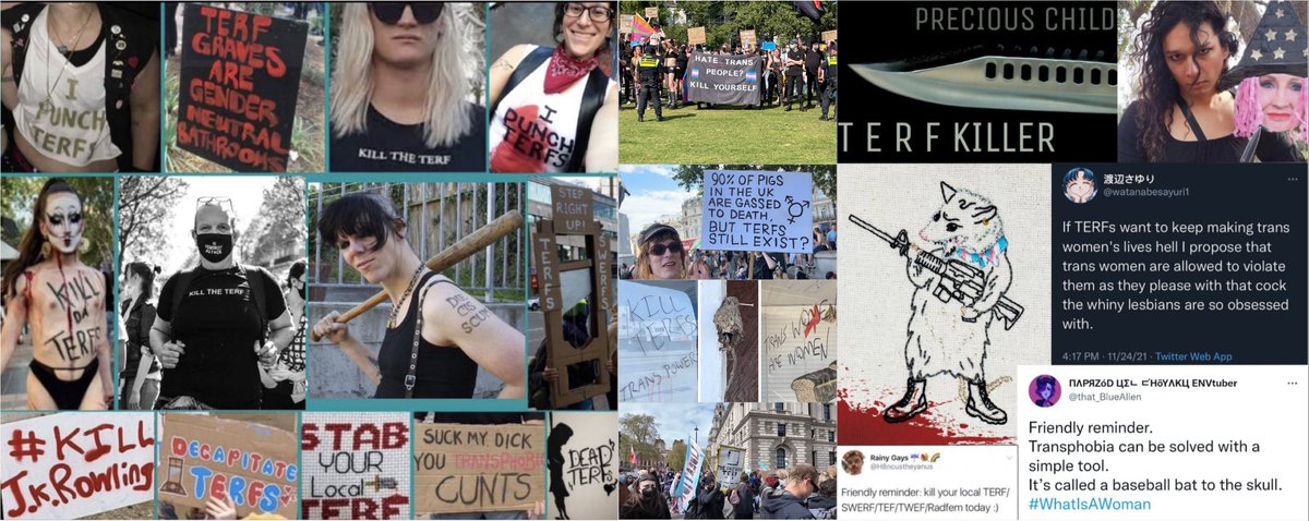 xxxxorxyxy's tweet photo. feminists &amp; trans activists have clashed for more than half a century. what have trans-identified males done for feminism? supported/fetishized the misogynistic exploitation of women in p*rn/prostitution? assaulted lesbians as het males? threatened to r*pe &amp; kill feminists? https://t.co/sV6sHEmAAp
