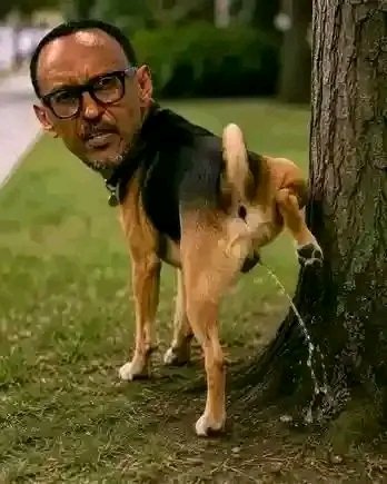 HenockHk18's tweet photo. @wembi_steve @EmmanuelMacron @PaulKagame @SassouNGuesso_ Pathétique https://t.co/COEjMoM3zB