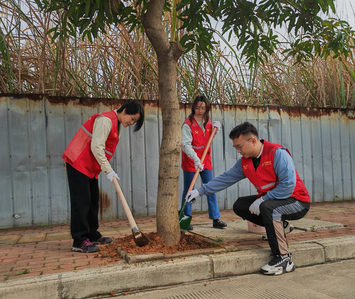 milko582473's tweet photo. Local Community Tree-Planting Day this Sat 9am at Oak Park! Bring gloves u0026 water bottles—all supplies provided. Let’s green our neighborhood together! https://t.co/ACNend8ALq