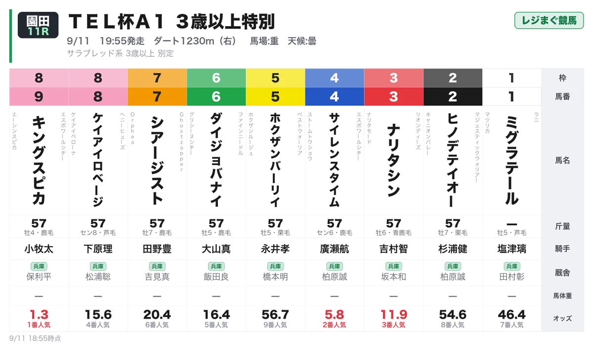 園田 競馬 結果
