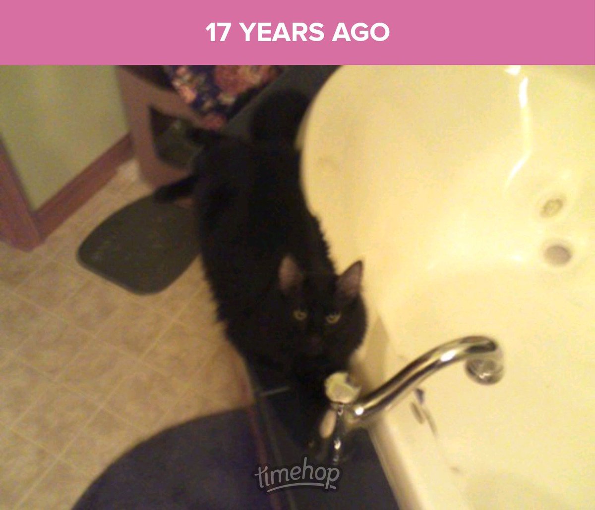 DBFrisk2001's tweet photo. 2009, in the master bathroom. For whatever reason, Blackie was laying on the ledge beside the edge of the whirlpool tub. My apologies for the poor quality of these photos - they'd been shot with my old LG flip phone. https://t.co/zoMIHAb2L2