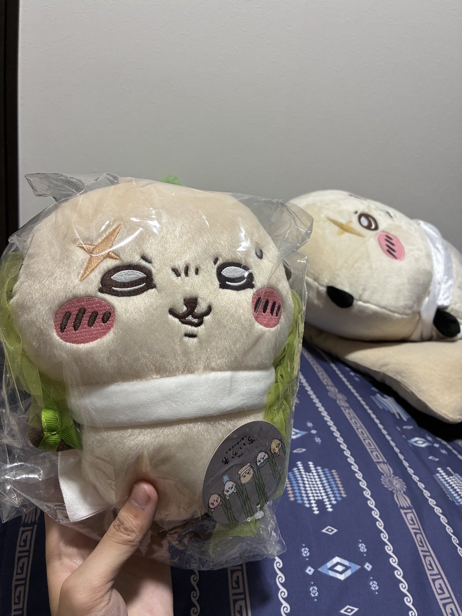 papipupeppepu's tweet photo. うへへ…2000円ちょいでGETだど〜。ちいかわ人気だから色んな人とお話しもできて楽しかったな。 https://t.co/geDcaN3sYH