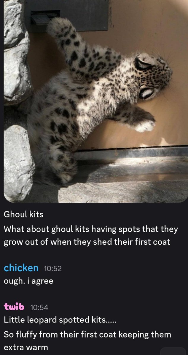 cirrus__cumulus's tweet photo. Ghoul kits.......... https://t.co/kgXt29Ogpq