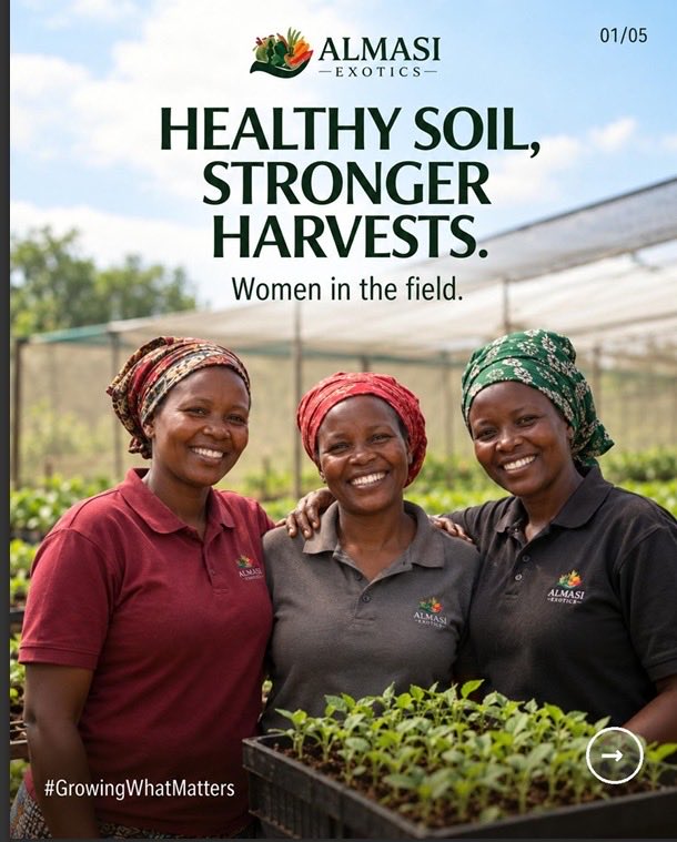 almasiexotics's tweet photo. Soil health means stronger crops and resilient farms. 🌱 The Women of Almasi (Abagore ba Almasi) champion healthier soils and resilient livelihoods. 💚

Protecting our soil means protecting the future of agriculture.

#GrowingWhatMAtters#AlmasiExotics#SoilHeath https://t.co/CmPvxLkHaw