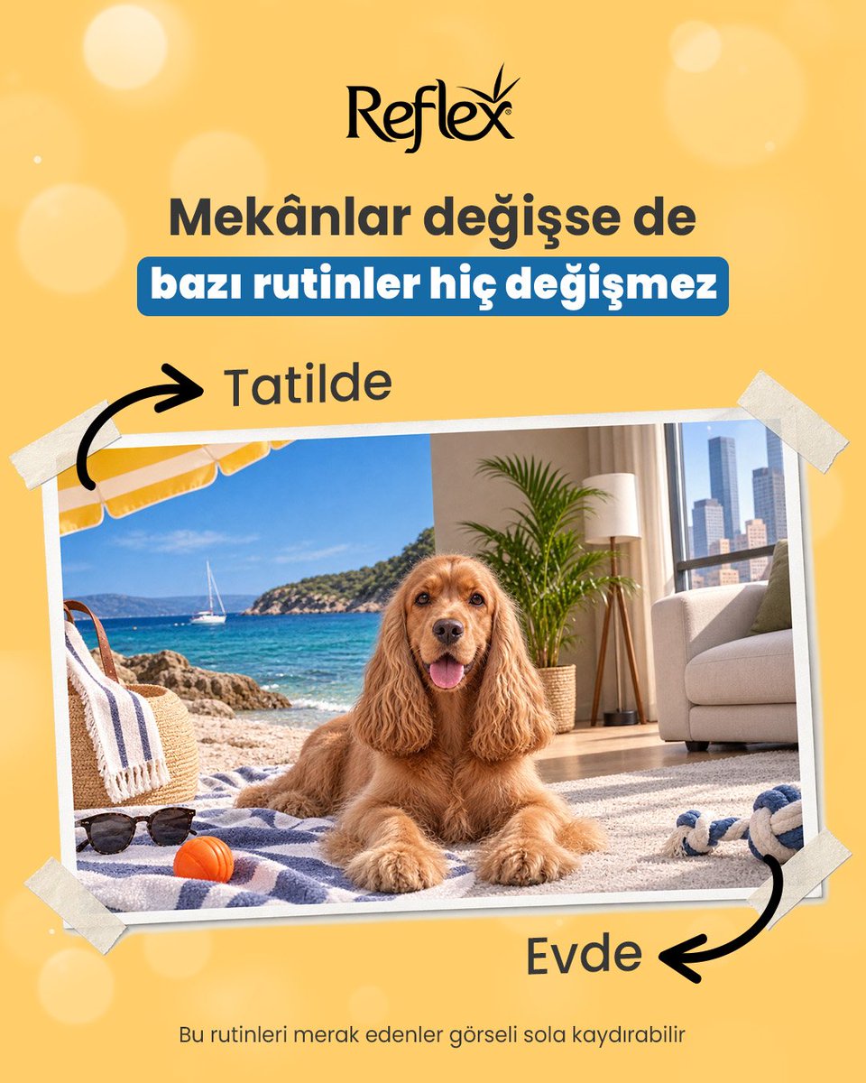 reflexplustr's tweet photo. Mekânlar ve rotalar değişebilir ama patili dostunuzla olan rutinleriniz hep aynı kalır.
İster deniz kenarında plaj havlusunun üzerinde olun, ister şehirdeki park çimlerinde... Nereye giderseniz gidin, Reflex Hayatın Her Anında Yanında! 🧡 https://t.co/pCNb9JHAmW