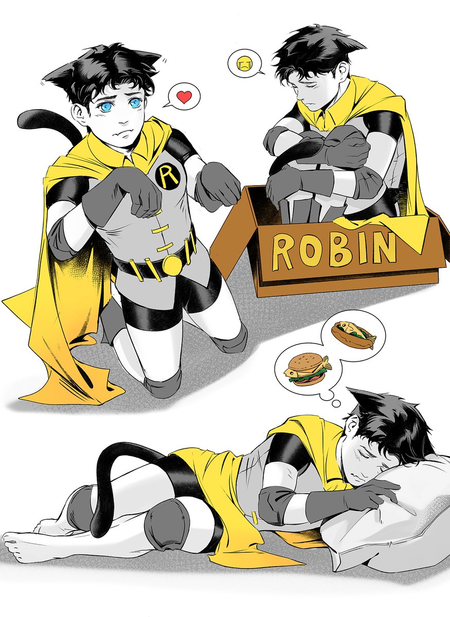 NichaSheng's tweet photo. jasontodd. jaybin cat~~~ https://t.co/H39e7MCwVV