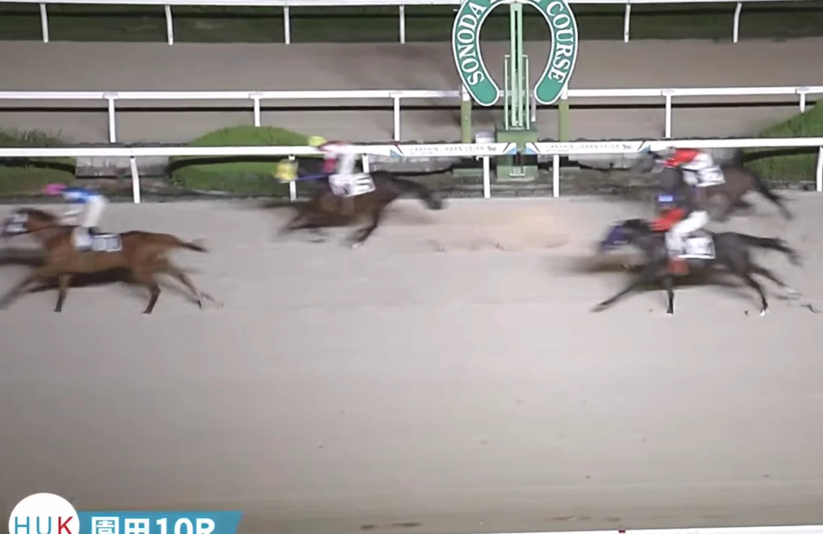 あぶ の 地方 競馬 予想