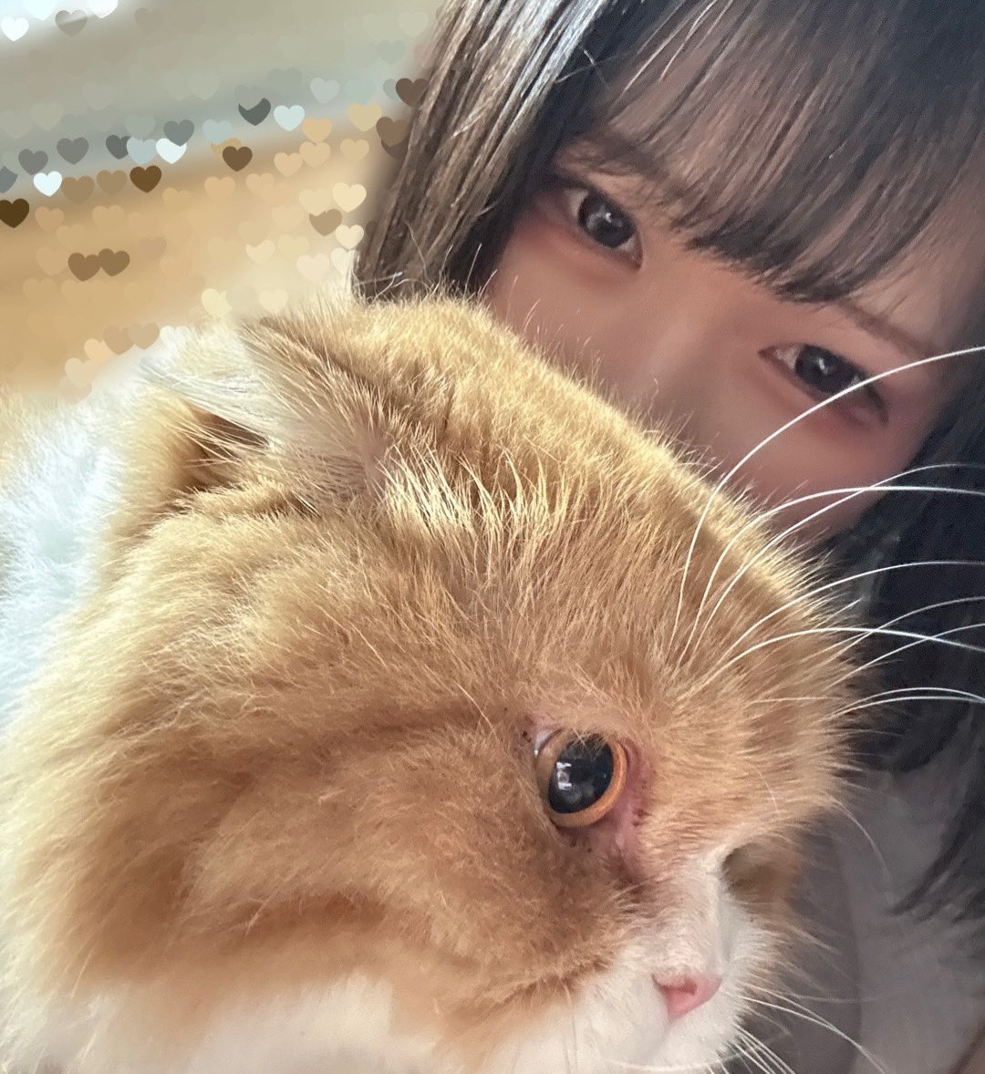 tarachan_dazo's tweet photo. 偏頭痛やばすぎ！ https://t.co/8hKyiEvV7E