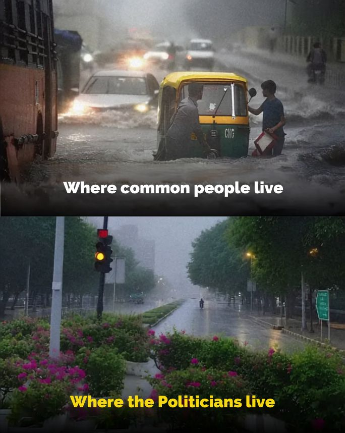 Neha_S_Patel's tweet photo. Of course the rain has separate rules for VIP areas. https://t.co/RVh4RjOMU3