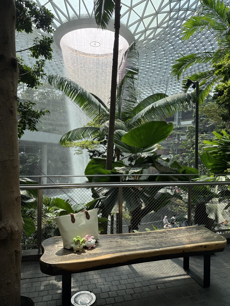 silkkvvein's tweet photo. Changi Airport never fails to amaze. https://t.co/djZ25ytPrM