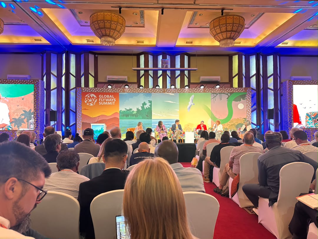 nature_rwanda's tweet photo. 1/3
A room full of #BirdLifePartners from across the world is always special. This week in Nairobi, we’re proud to represent #Rwanda at this #GlobalPartnershipMeeting.
For @nature_rwanda, this marks our first Global Partnership Meeting. https://t.co/OnfYpVrUvb