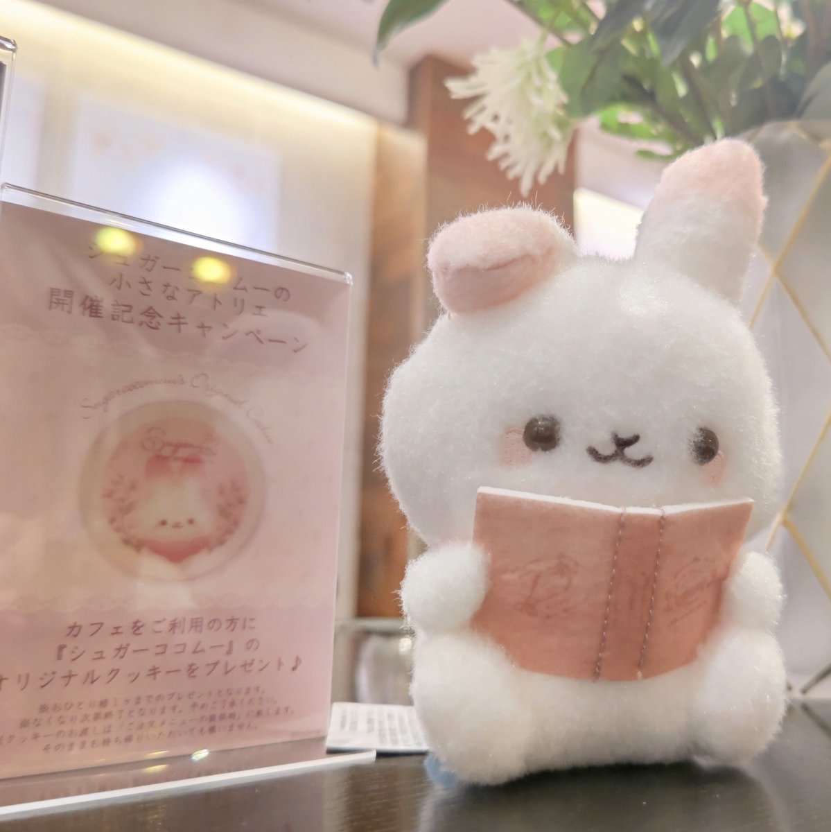mm_sayabo's tweet photo. シュガーココムーがかわいすぎて
うっとりしてしまいました
カフェも素敵なところでした
またうかがいたいです🫖
#シュガーココムー #文房堂 さん https://t.co/gLzuFzJA6w