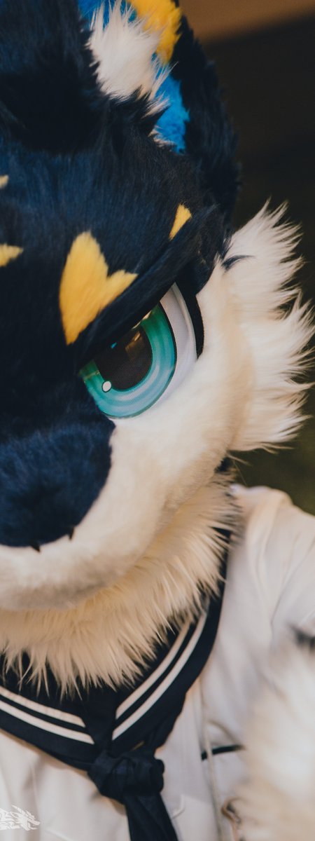 asterdragon_'s tweet photo. #FursuitFriday https://t.co/GaN9mu3L4h