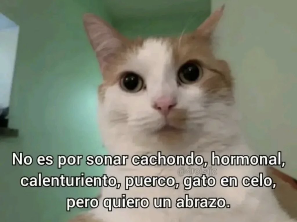 skereunpesado's tweet photo. https://t.co/9pf5m2J2n6