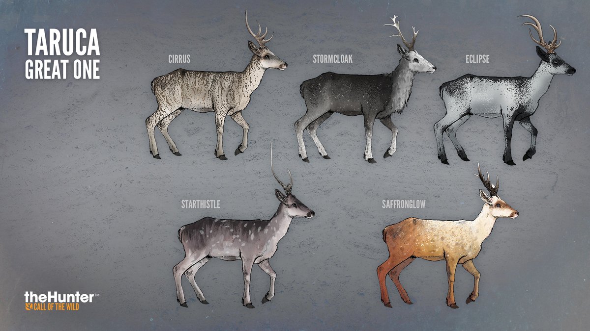 Taruca GO concept art with 5 new variations called: Cirrus, Stormcloak, Eclipse, Starthistle, Saffronglow. 