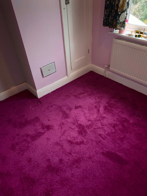 BlacklockCarpet's tweet photo. 🩷🩷Adding some vibrance to this Bedroom🩷🩷
The Valley Wholesale Invicta 2020 (Colour 114 Amethyst) polypropylene #Carpet is easy to clean &amp; maintain which makes it great for a child's Bedroom.
#Shoplocal #Supportlocal #Beeston #Nottingham #Flooring https://t.co/70BELKfUoz