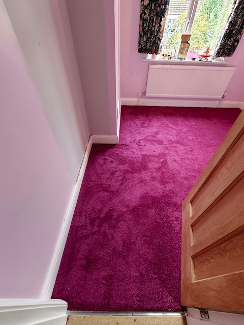BlacklockCarpet's tweet photo. 🩷🩷Adding some vibrance to this Bedroom🩷🩷
The Valley Wholesale Invicta 2020 (Colour 114 Amethyst) polypropylene #Carpet is easy to clean &amp; maintain which makes it great for a child's Bedroom.
#Shoplocal #Supportlocal #Beeston #Nottingham #Flooring https://t.co/70BELKfUoz