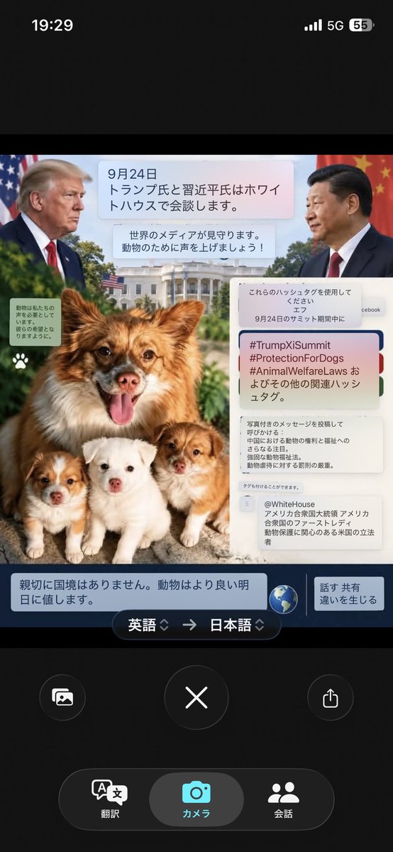 syo31sy's tweet photo. 9/24 トランプ氏と習氏の首脳会談の際に、↓のハッシュタグを付けて発言してください。
引用元をご覧ください。
#TrumpXiSummit
#StopAnimalCrueltyChina
#Protection ForDogs
#JusticeForWangwangAndHerPuppies
#Animal WelfareLaws
#JuaticeForWangWang
#SaveChineseCats https://t.co/q3PCRpS3xk